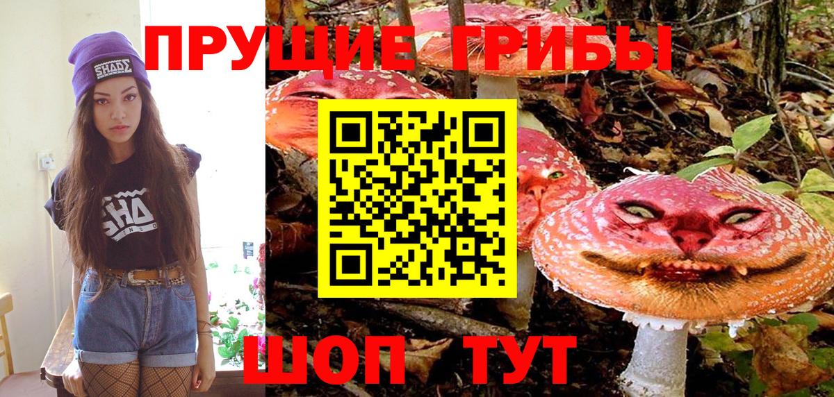 Псилоцибиновые грибы MAGIC MUSHROOMS  Вход с VPN  Кисловодск 
